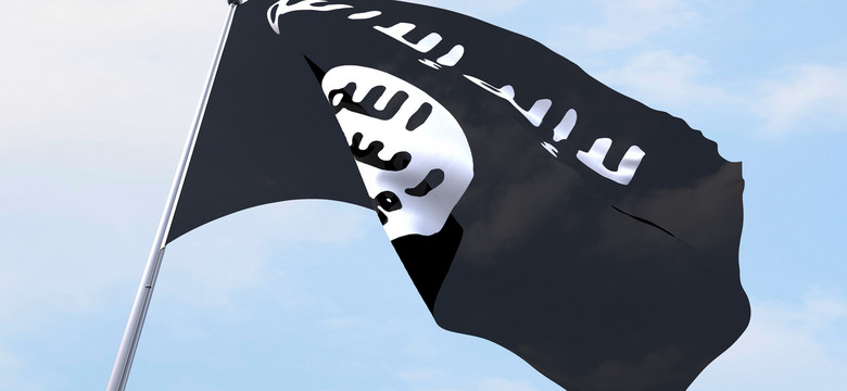 Amerykanie zastawili pułapkę na terrorystów ISIS w aplikacji WhatsApp