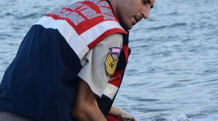 Összeroppant a megfulladt szír kisfiú holttestét megtaláló rendőr
