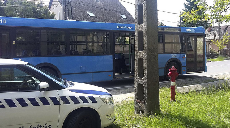Nem önhibájából zuhant ki a 46-os buszból a férfi /Fotó: MTI - Mihádák Zoltán
