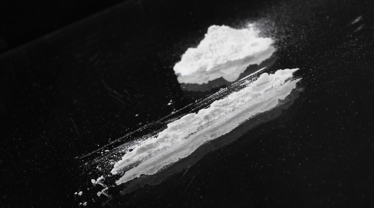 Több mint 1 kiló kokaint hozatott át gyanútlan ismerősével Magyarországra a 38 éves férfi / Illusztráció: Northfoto