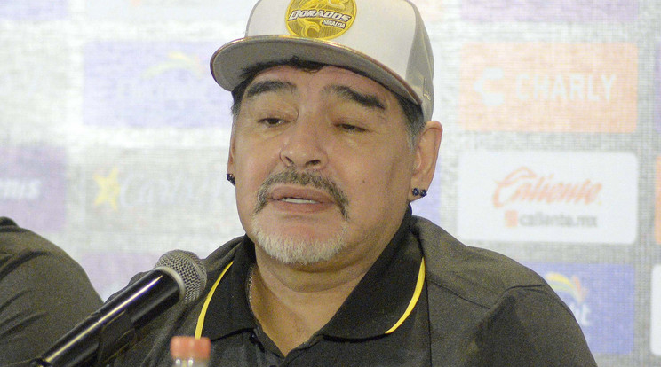 Diego Maradona /Fotó: Northfoto
