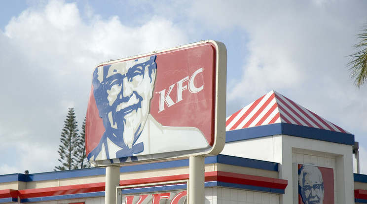 A KFC is megpróbálkozik a húsmentes termékekkel /Illusztráció: Northfoto
