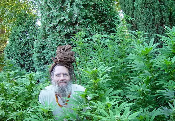 Firma przyjazna marihuanie kupiła całe miasteczko i chce stworzyć raj dla uprawiających konopie