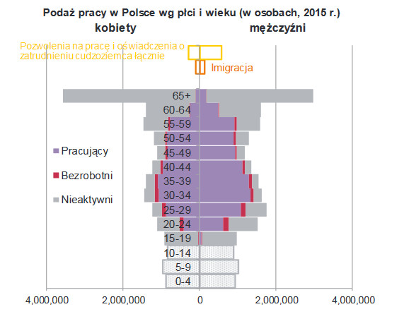 Podaż pracy w Polsce wg płci i wieku (w osobach, 2015 r.), źródło: NBP