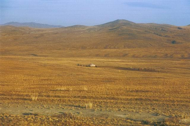 Galeria Mongolia, obrazek 30