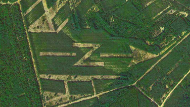 Tajemniczy znak z literą "N" widoczny z lotu ptaka w Małopolsce. Jest wyjaśnienie