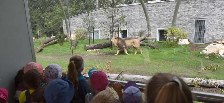 Parking przed krakowskim zoo jednak otwarty