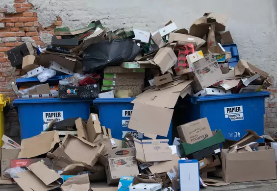 Polska wytwarza prawie najmniej śmieci w UE. Eurostat: Rekordowy wzrost recyklingu