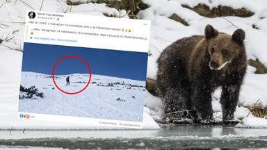 Niedźwiedź mknął po stoku w Tatrach. Dookoła zjeżdżali narciarze [WIDEO]