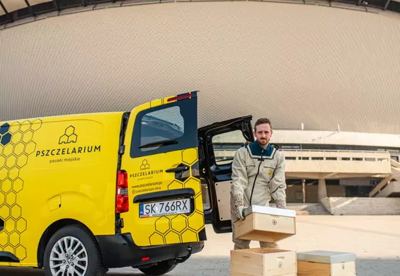 To najsłodsze auto w Polsce - Pszczołowóz wozi miejskie pszczoły do nowych domów