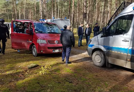 Chcieli zbierać grzyby w rękawicach do MMA. Policja zapobiegła ustawce w lesie