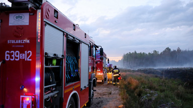 Płonie ponad 10 hektarów lasów pod Zgorzelcem. Strażacy ostrzegają, że może być gorzej