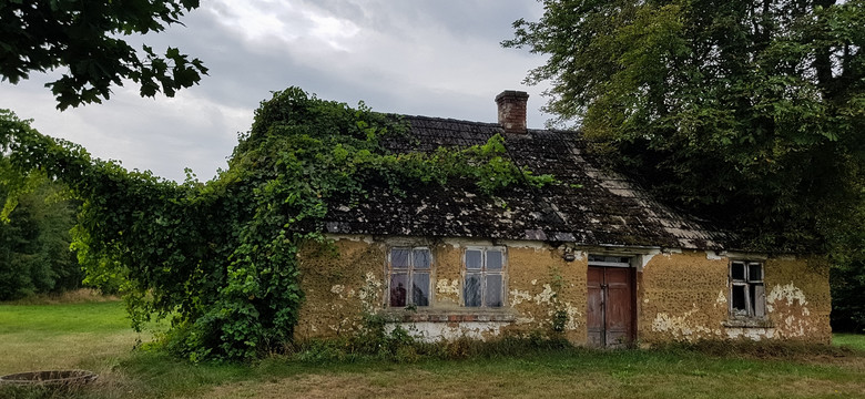 Opuszczona chata w Wielkopolsce i ślady rodzinnego dramatu