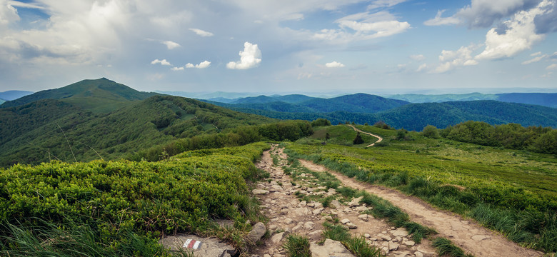 Wybierasz się w Bieszczady? Uważaj!