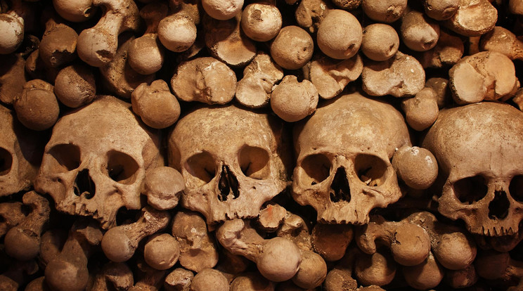 A drogkartellek évekkel korábban meggyilkolt áldozatainak koponyáit találhatták meg /Illusztráció: Northfoto
