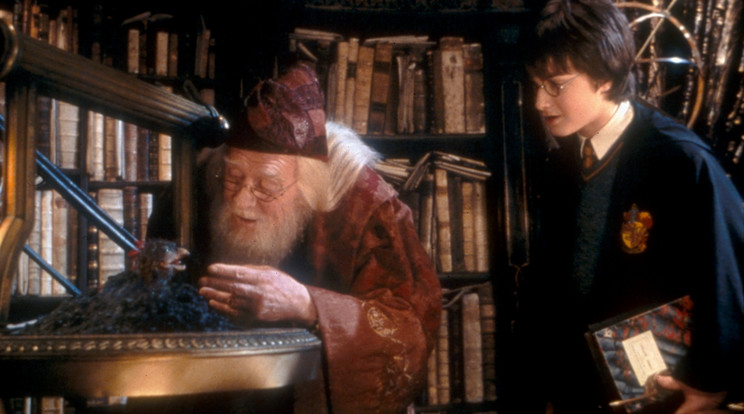 Gambon vállalta, hogy átveszi Dumbledore karakterét,
ám a könyvet sem olvasta el, mert nem akarta, hogy
befolyásolja a játékát / Fotó: Northfoto