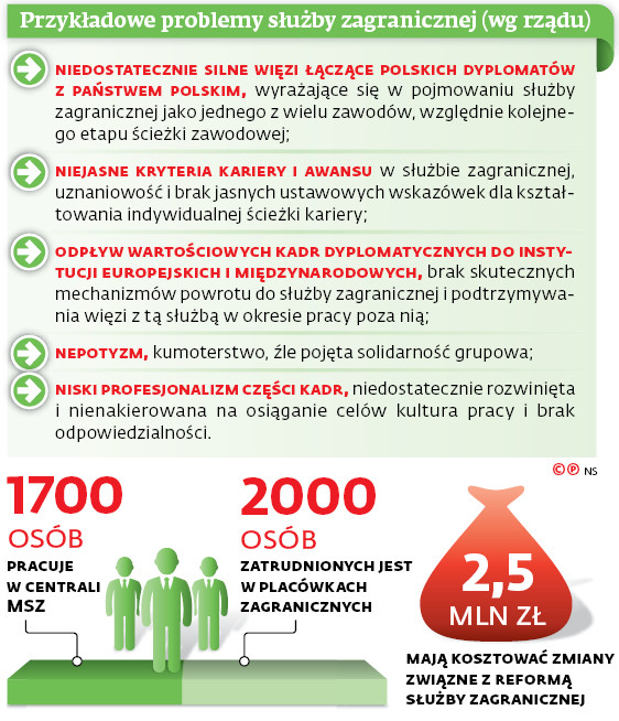 Przykładowe problemy służby zagranicznej (wg rządu)