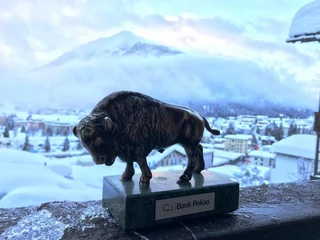 Żubr Pekao w Davos