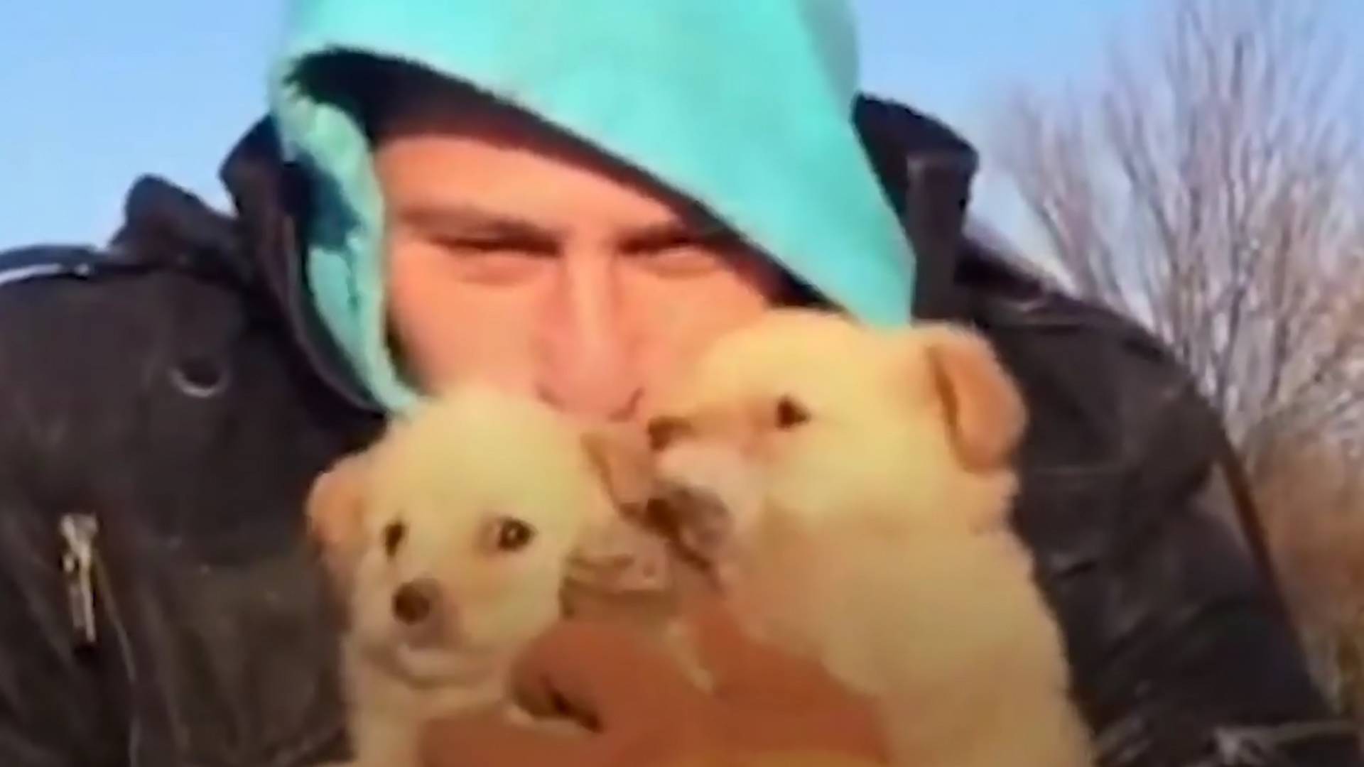 Svetski mediji prenose video spasavanja kučića iz Mladenovca