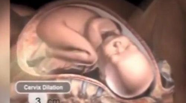 Ez megy végbe az édesanya testében a természetes szülés folyamán! - Videó