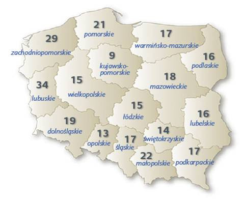 Długość średniego opóźnienia w regulowaniu płatności (w dniach).