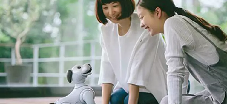 Sony ogłasza nowego robota Aibo