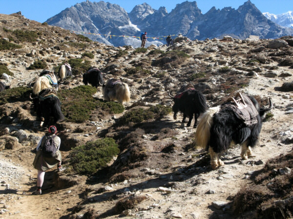 Szerpowie, życie z widokiem na Everest