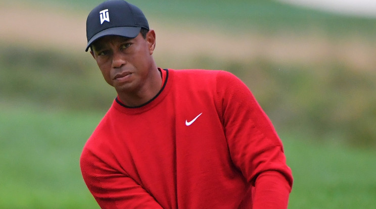 Tiger Woods /Fotó: Getty Images