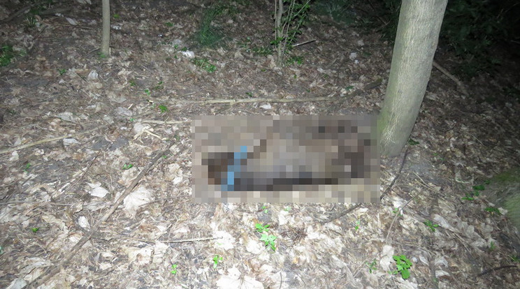 Horrorisztikus kivégzés Mezőnyárádon: egy kutya volt az áldozat / Fotó: police.hu