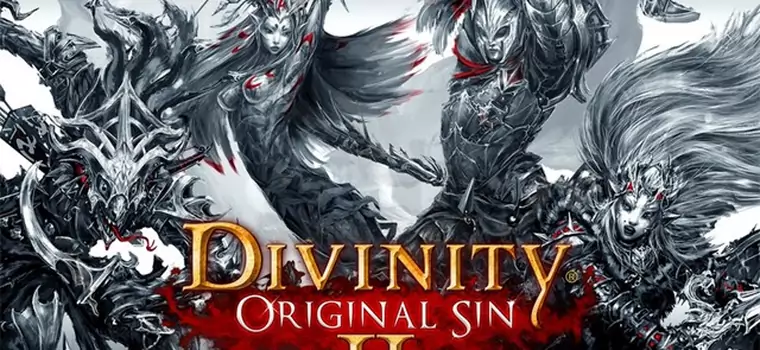 Divinity: Original Sin II - developerzy zebrali już ponad milion dolarów