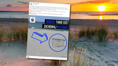 Na polskich plażach pojawiły się tajemnicze klatki. "Zachowaj odpowiedni dystans"