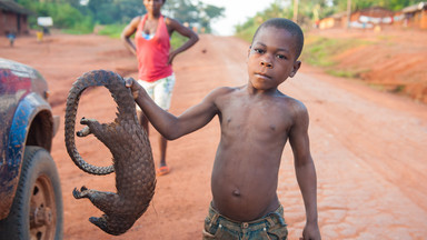 Pigmeje Baka - jak wygląda życie w dżungli Kamerunu. Projekt "Swoją drogą" Tomka Michniewicza