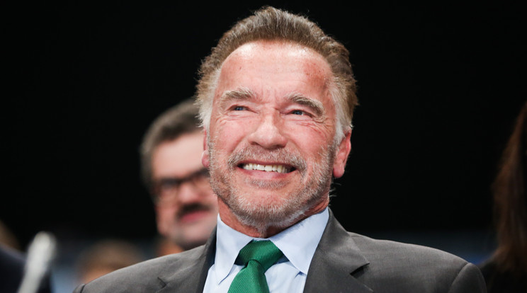 Arnold Schwarzenegger /Fotó:Northfoto