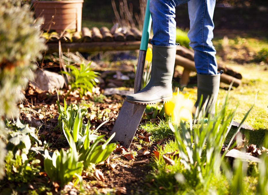 Ezeket a dolgokat kell megtenni ősszel a kertben Fotó: Getty Images