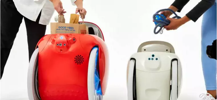 Piaggio Gitamini to kompaktowy robot przenoszący, który podąża za właścicielem
