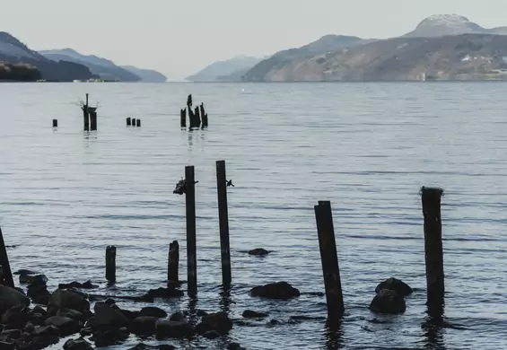 Trwają poszukiwania potwora z Loch Ness. Największe od 50 lat
