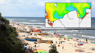 Wyjątkowo zróżnicowana temperatura wody w Bałtyku. Przyczyna napływa z głębin