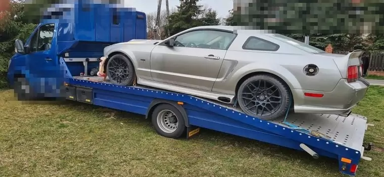 Kradziony Mustang prosto z lasu. Policja odzyskała też lawetę Mercedesa