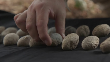 Archeolodzy odkryli w Izraelu prehistoryczne "fabryki" amunicji