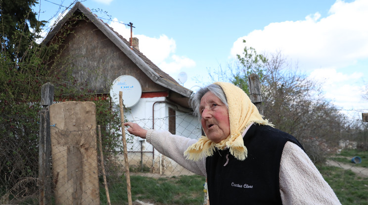 A szomszédasszony, Ibolya talált rá a súlyosan sérült Csillára /Fotó: Pozsonyi Zita