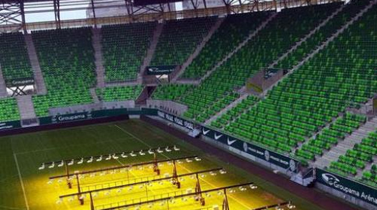 Így napozik a fű a Fradi stadionjában