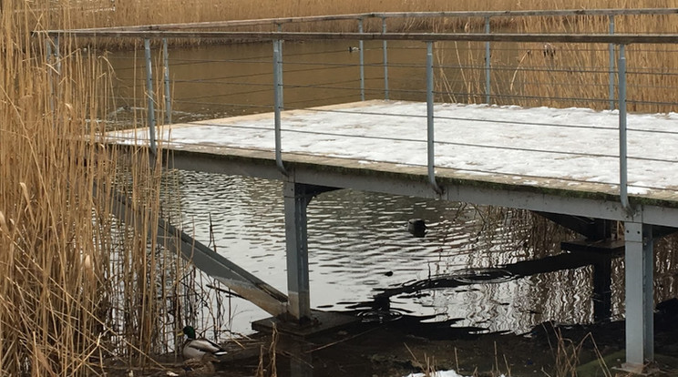 A testet a nádasban találták meg (illusztráció) / Fotó: RAS-archív