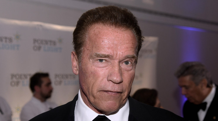 Arnold Schwarzenegger /Fotó: Northfoto