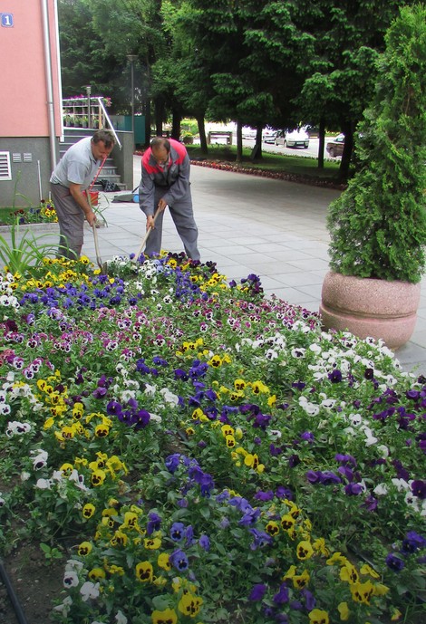 Cvetnjak kod Kulutrnog centra u Gradiški
