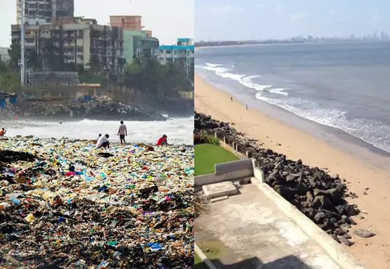 To była najbrudniejsza plaża w Indiach. Teraz znów mieszkają na niej żółwie zagrożone wyginięciem