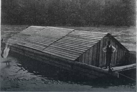 Šajkaši