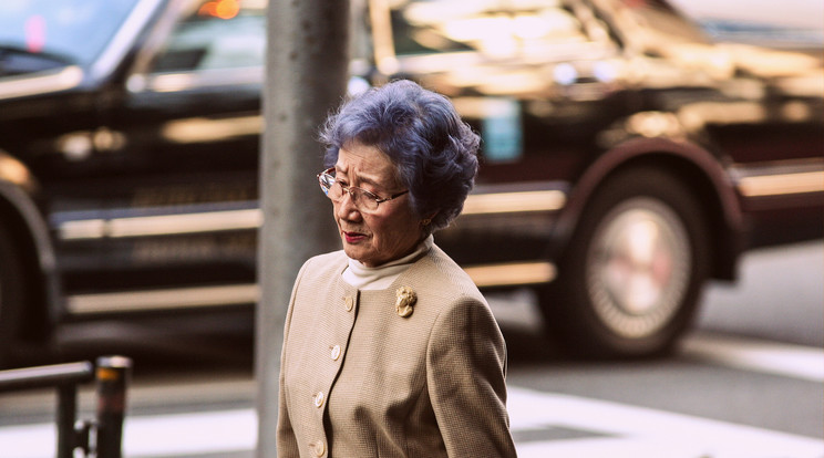 Egyre több idős japán, közölük is főleg nő, adja fejét bűnözésre, hogy ne kelljen egyedül lennie /Illusztráció: Shutterstock