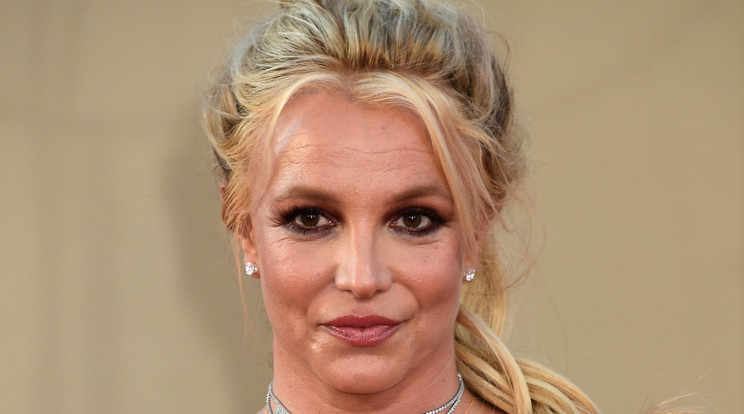 Nemrégiben még pszichiátrián kezelték Britney Spearst, aki most Hawaiin piheni ki magát /Fotó: Northfoto