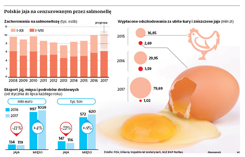 Polskie jaja na cenzurowanym przez salmonellę