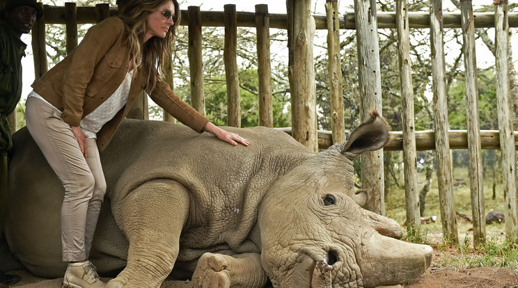 Liz Hurley és Sudan/ Fotó: AFP